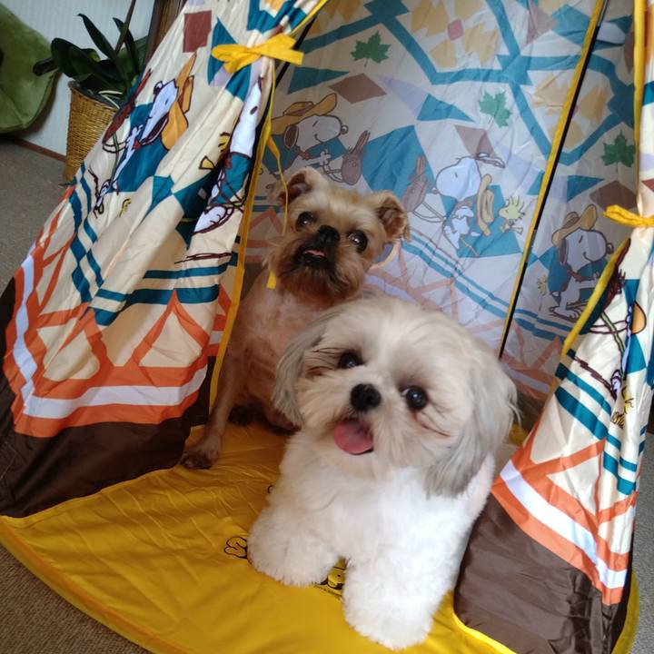 96b64982 9864 4f1d b467 3666818ab56e 1620525909509