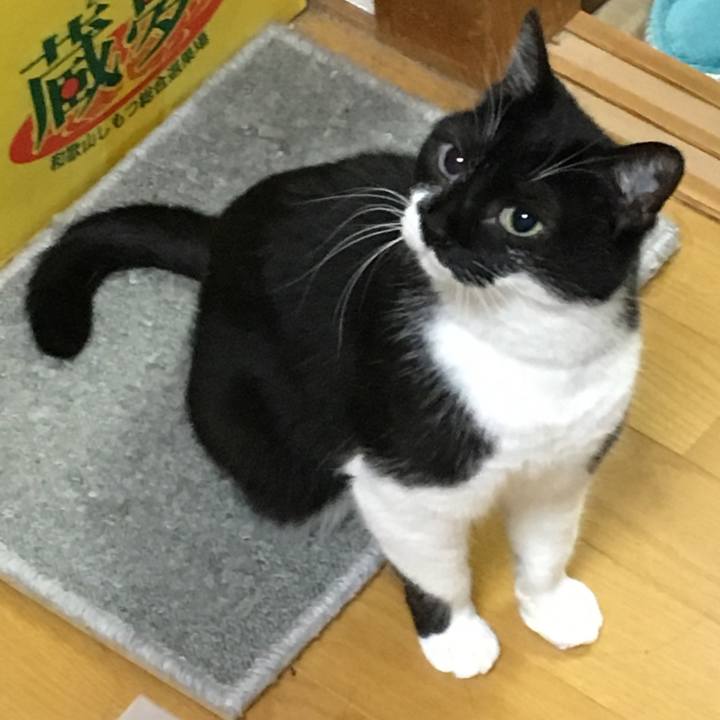 96b66727 67cf 4f21 a298 cdb59a3ce7a5 1528438320604