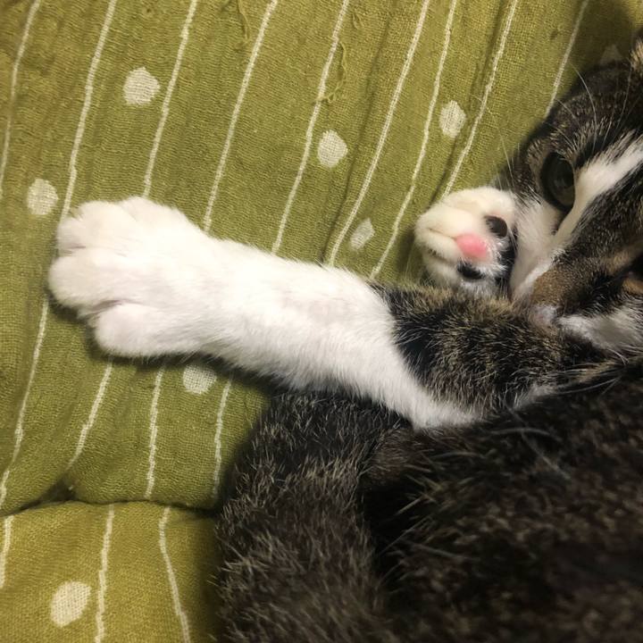 96b69d59 848c 42d2 a35f aef08ef0e258 1557058987669