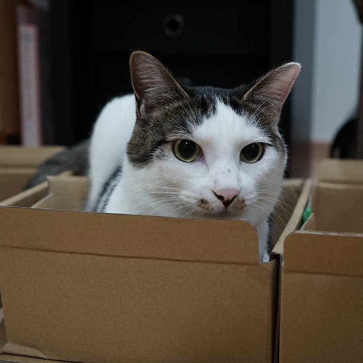 96b6acc8 f28a 4aa4 9107 26ac7e4f6302 1562197857108