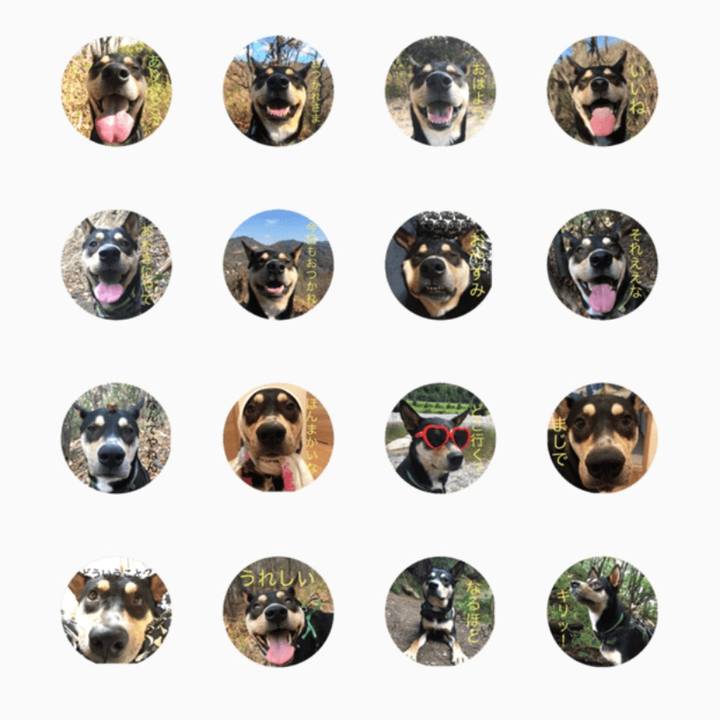 96b6b06e 67e6 47e3 b74f e2030cf67e9e 1556099459939