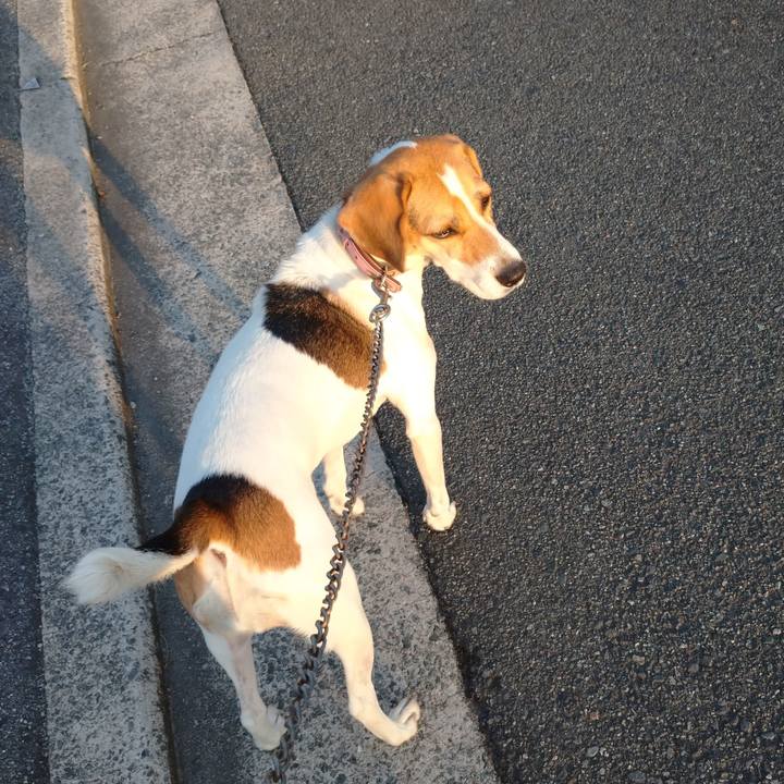 96b6bd4e 12b2 4381 92e6 acb75e4f3526 1601628201692