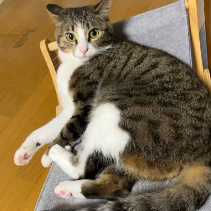 96b7020e c703 4beb 9de6 8a4526684b21 1719575748418