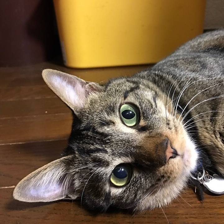 96b70fff e02b 48b5 8525 0a56d27abf46 1559324141045