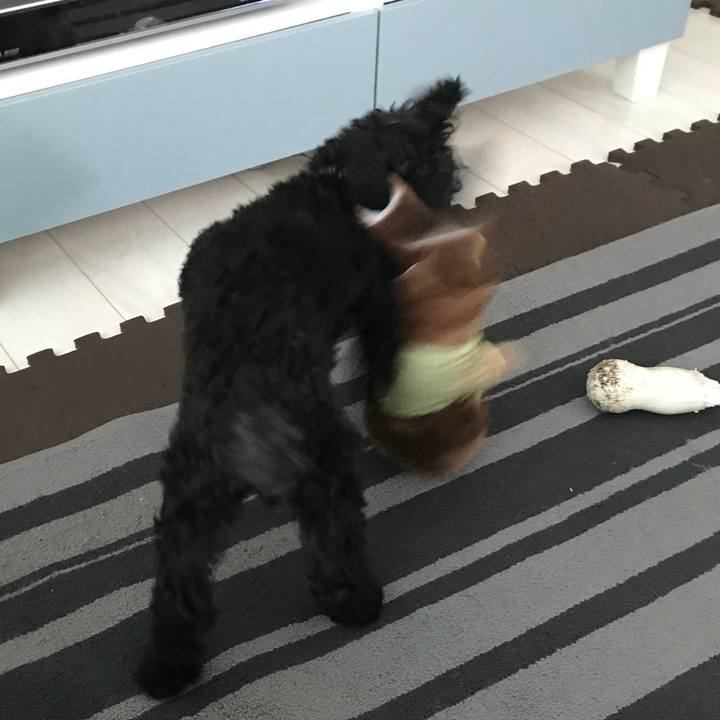 96b7623a 912f 45ca 88f2 2d9b33128428 1535154941797