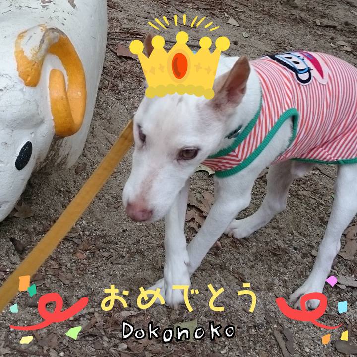 96b773f7 cecd 45cd b624 4ad107809617 1685986025797