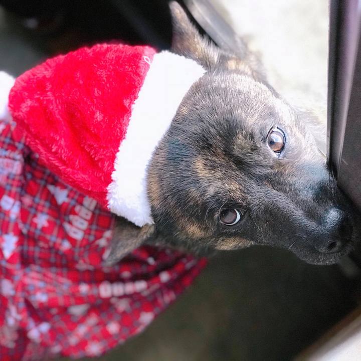 96b797d9 111d 42cd ac95 4cbaf1ec59b0 1513998945551