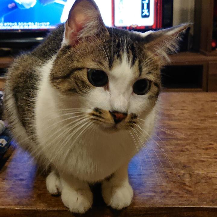 96b7a70e d5a5 4d28 a44e 5fa9b2153a64 1670803698494