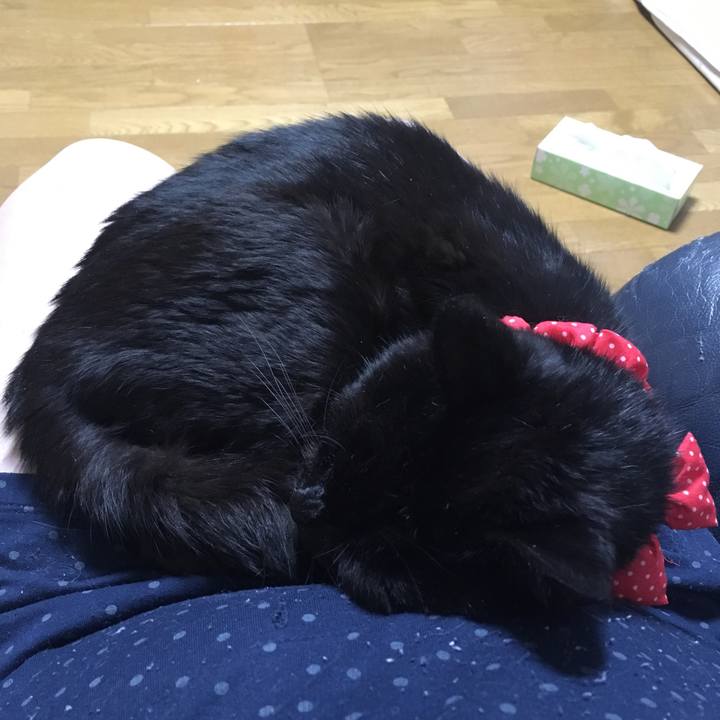 96b7b31d 9ca0 47d1 98e6 0fc80e5acdff 1551694179481