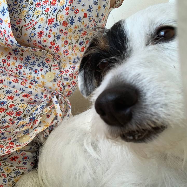 96b7d68e 9362 4ef5 ab77 86461fd216a8 1589341180541