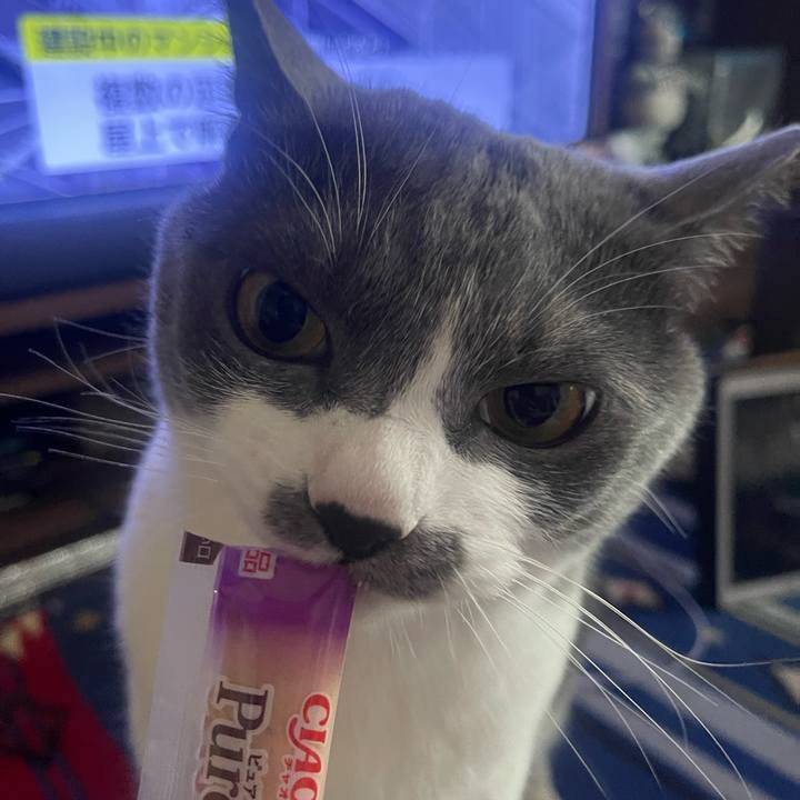 96b7f1cb 21ed 4213 8924 a7ee971db026 1684745536479