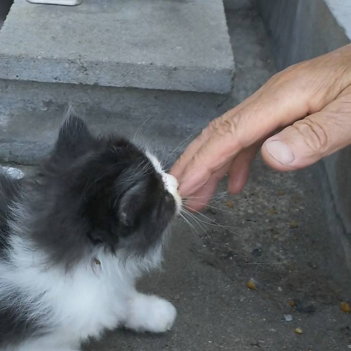 96b7f2fb 08c4 4f7c 860d 9556833317ff 1557730250722