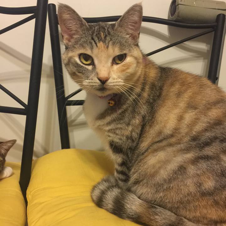 96b80a5a af82 491d b2df 26a840f552db 1556019771165