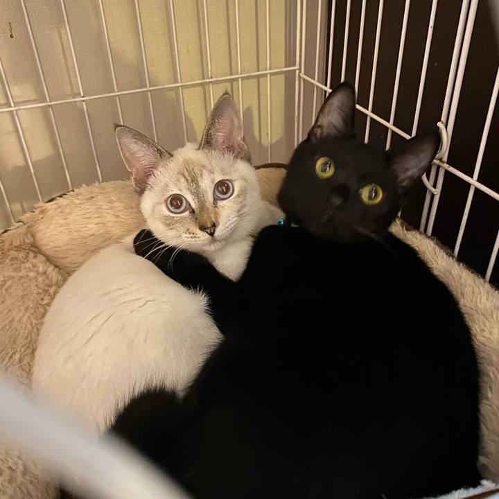 96b830e1 a6bc 47f8 b504 c042688e15e6 1634800066062