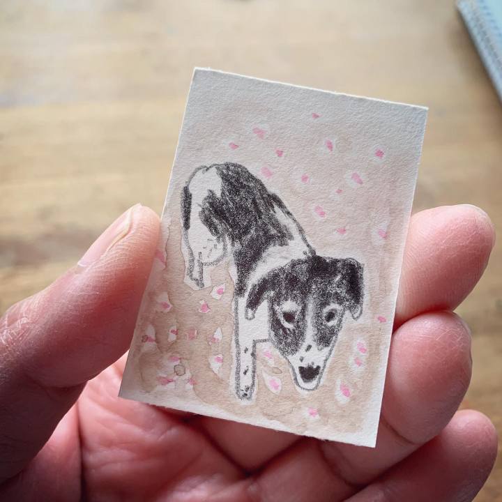 96b84104 8e23 4e4d a85e faf9afff5b24 1650006760822