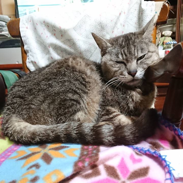 96b86d71 62b0 4a5c 87ff 04b2c5dd6816 1562583879728