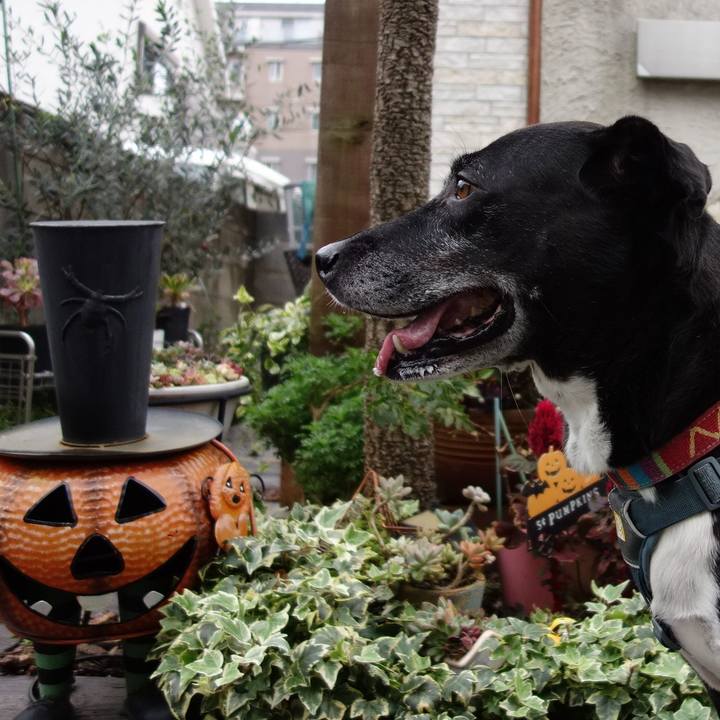 96b89bc9 f686 4517 93eb 361fe4d381c8 1729381312782