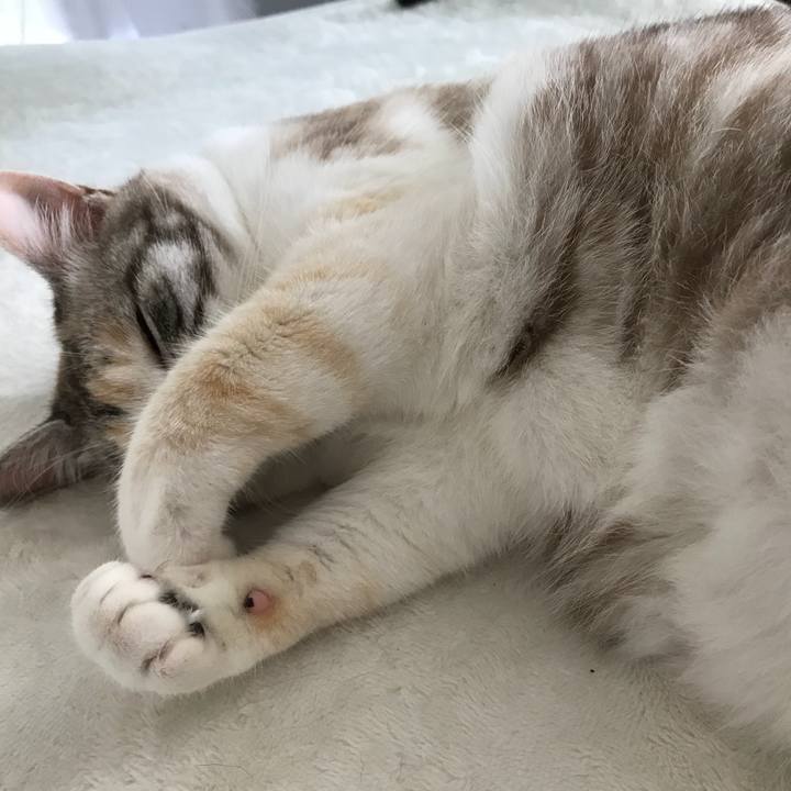 96b8ac99 0920 44ed 9e07 a052abc771c8 1526271169156