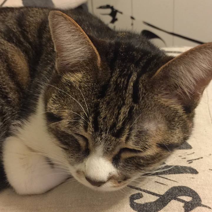 96b8cd90 736f 4c01 8b67 3e2e83600eef 1548084697777