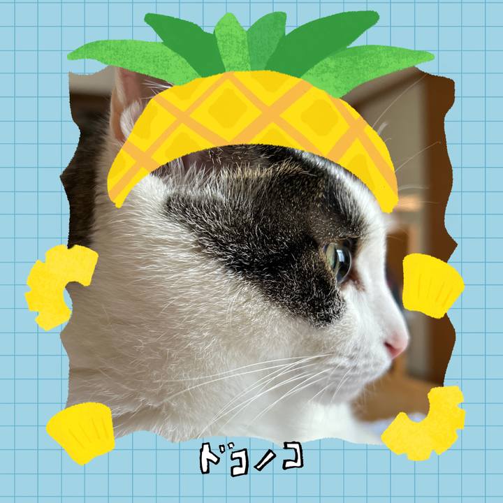 96b8d661 1ff3 4350 9fad 3cad2964555a 1783574813170