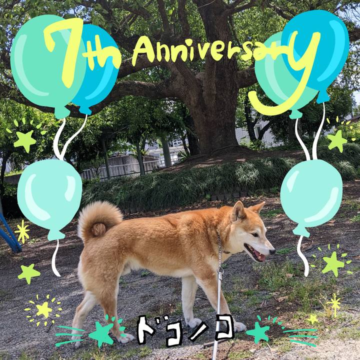 96b8de9a 92ef 4193 b20d 472a6e9543e1 1685959376401