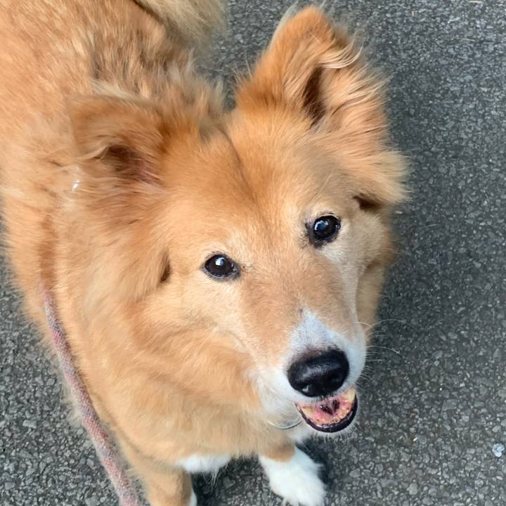 96b8e924 4a4c 4bb7 aefc 26fa51484688 1691891624975