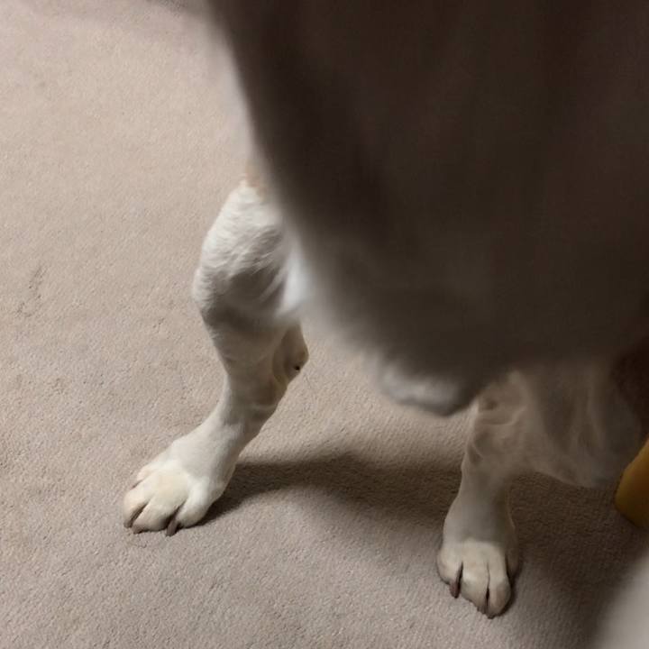 96b8fd3c 7fb5 4994 9308 ffbe0fbf34e1 1549789257295