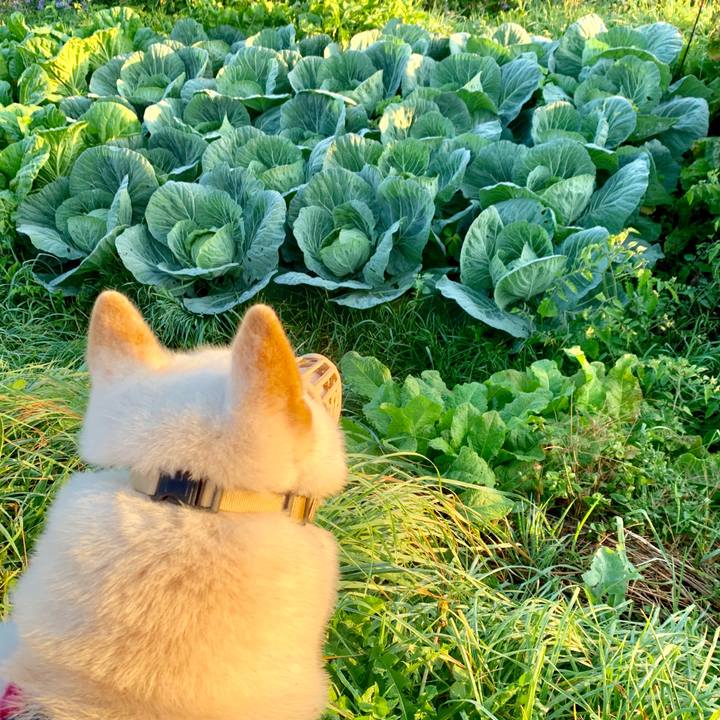 96b927f0 ef15 410e b35d c11b886d22fb 1570658522186