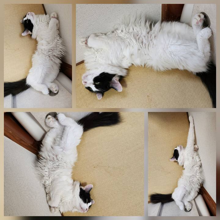 96b9335f cb29 4671 847c 4d5d630841d1 1768340939751