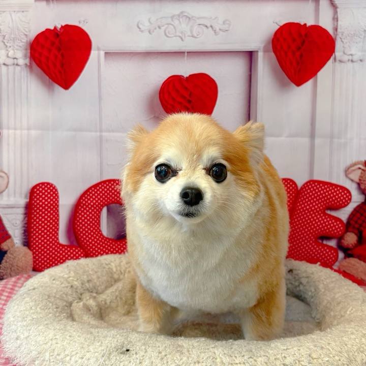 96b93406 2230 450c b6ec 9a9abb60c570 1772157821783