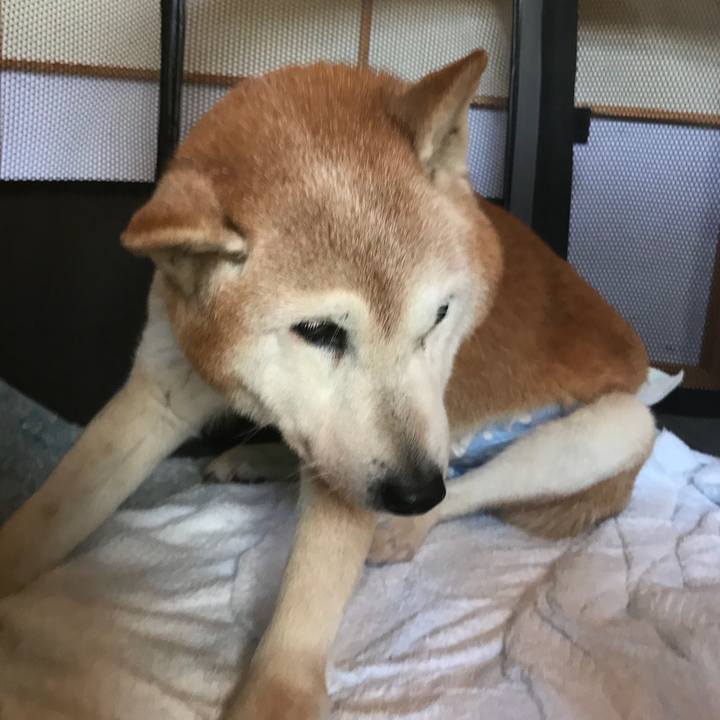 96b967a6 8238 4255 96d1 c44594411998 1524462625884