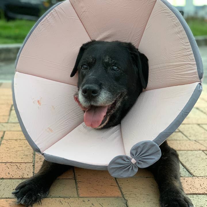 96b9748e b428 475b 856e e69b3179d3c0 1631957193951