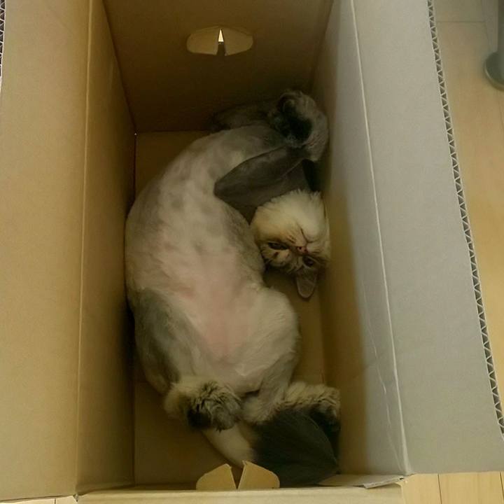 96b9e01f e6d3 42f9 acf3 8a19f578bb28 1597275930056