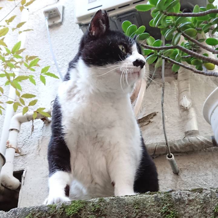 96b9e1d6 1ba9 4645 b1a7 70b85b80cacc 1623316359810