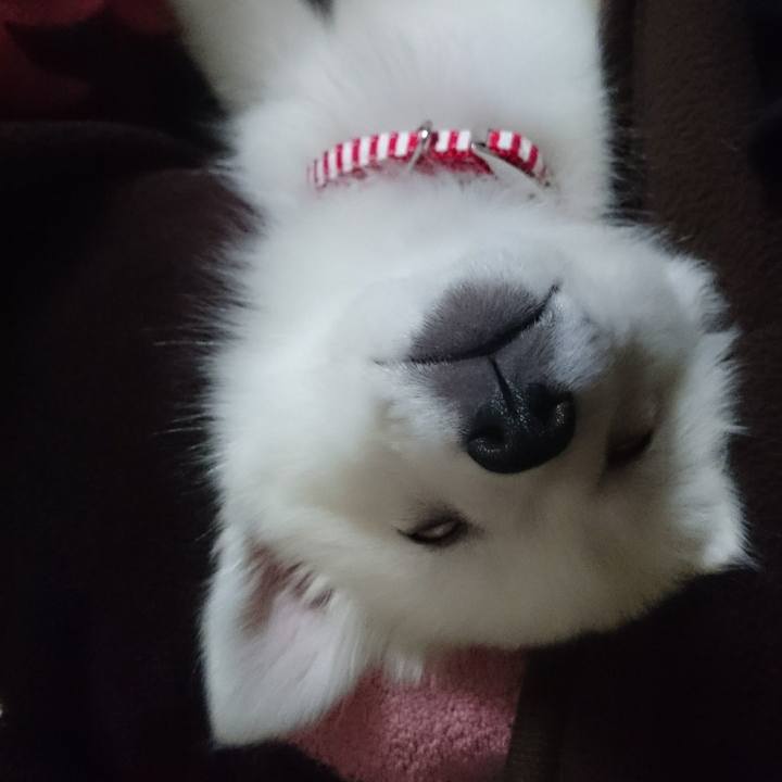 96b9ec45 d84e 495a b718 4e76bea221a7 1527745928282