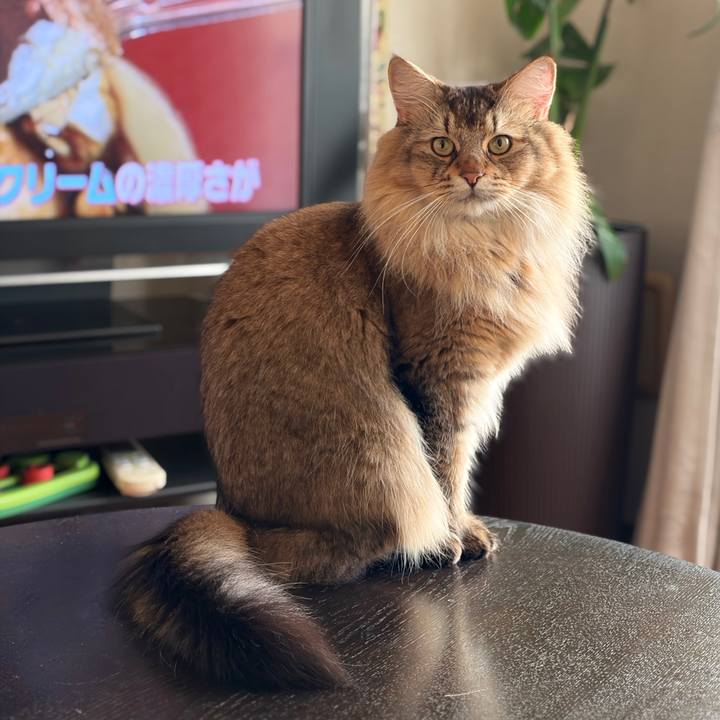 96b9edbe 1389 4e36 bbf7 42a59d3be2b1 1762468494395