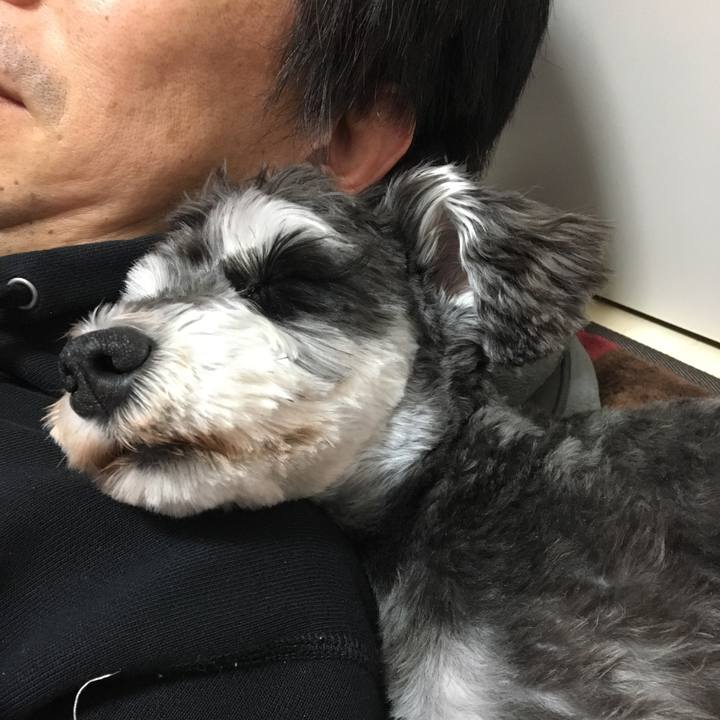 96b9ee1b 7108 420f 8ccb c8b63d631b83 1525527768977