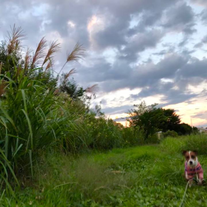 96ba0439 7cff 496a bbf9 3005488e835a 1566830112088