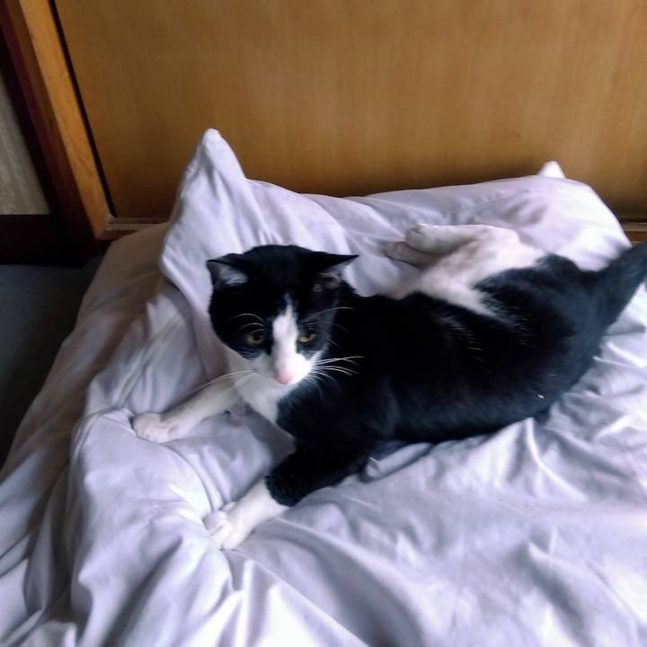 96ba4609 97c0 4ffd a494 5c976c53add6 1650934928599