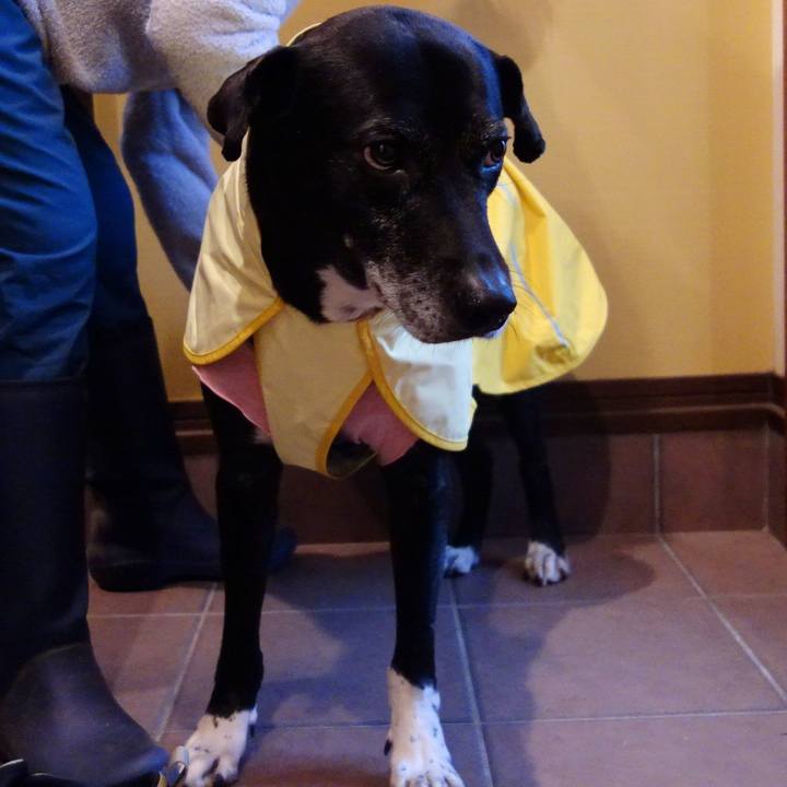 96ba68f1 48ba 4d7c 8223 68c76e6ecfc4 1740958676497