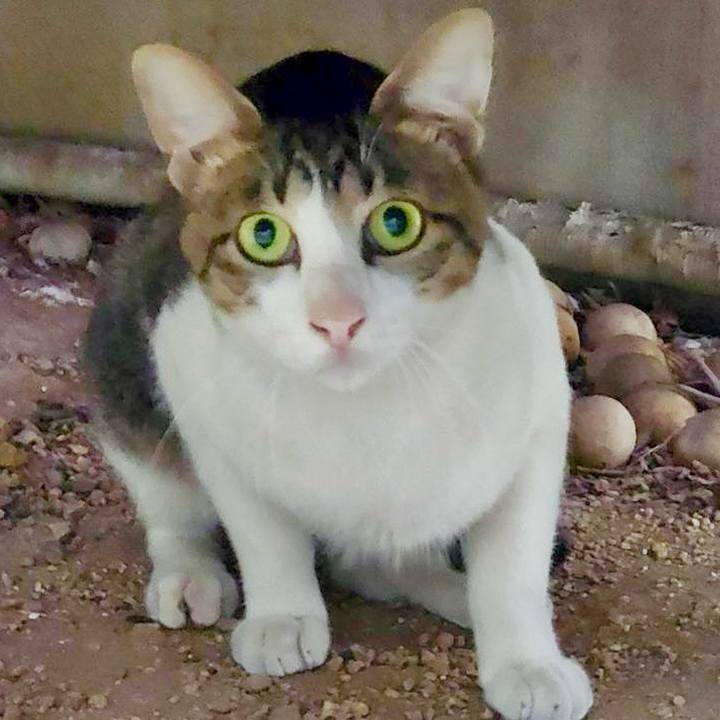 96ba69b3 d3a3 4db1 9ba9 e450610121c8 1758773258096