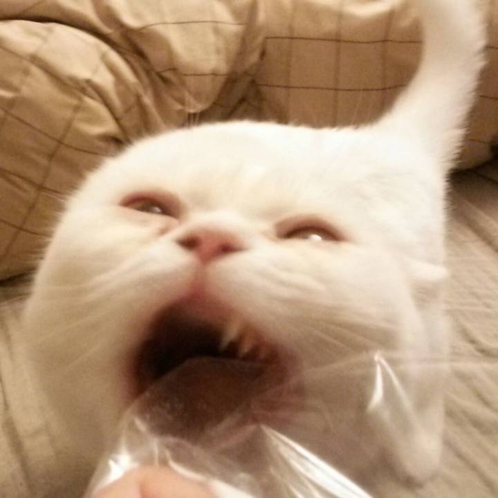 96ba7225 0514 4ce1 bc13 be8cc8581f4a 1508657883206