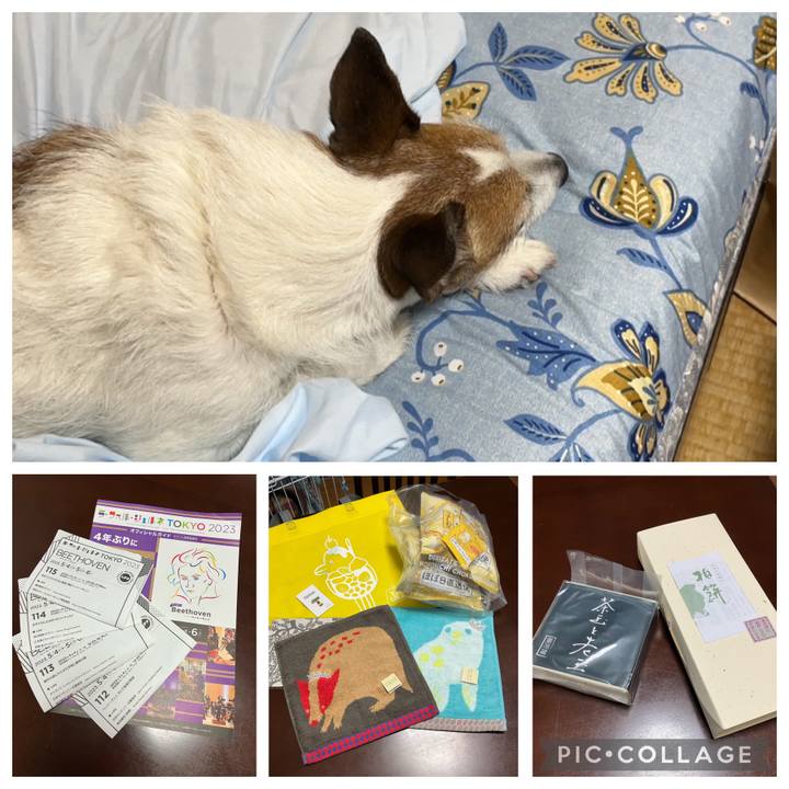 96ba7e53 7f91 4e25 b9a5 72699c5becbe 1683332672174