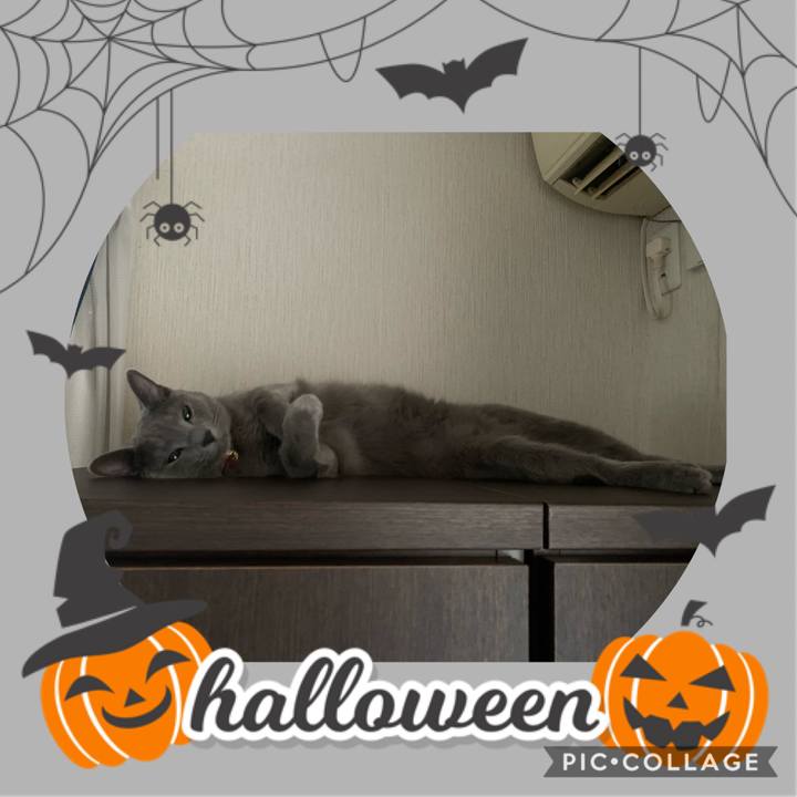 96ba85d9 a812 4f44 b3b0 f39036999493 1604122820500