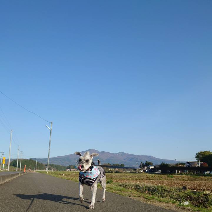 96baac9c fc20 4f76 94af add7203ef470 1776379223251