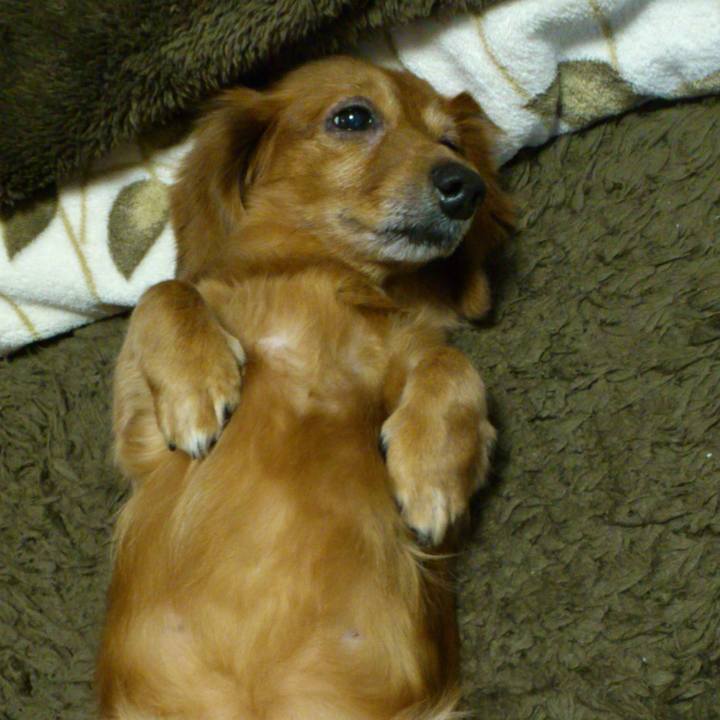 96babcc0 ad70 4dbe 85b8 fef678c32d83 1551895862967