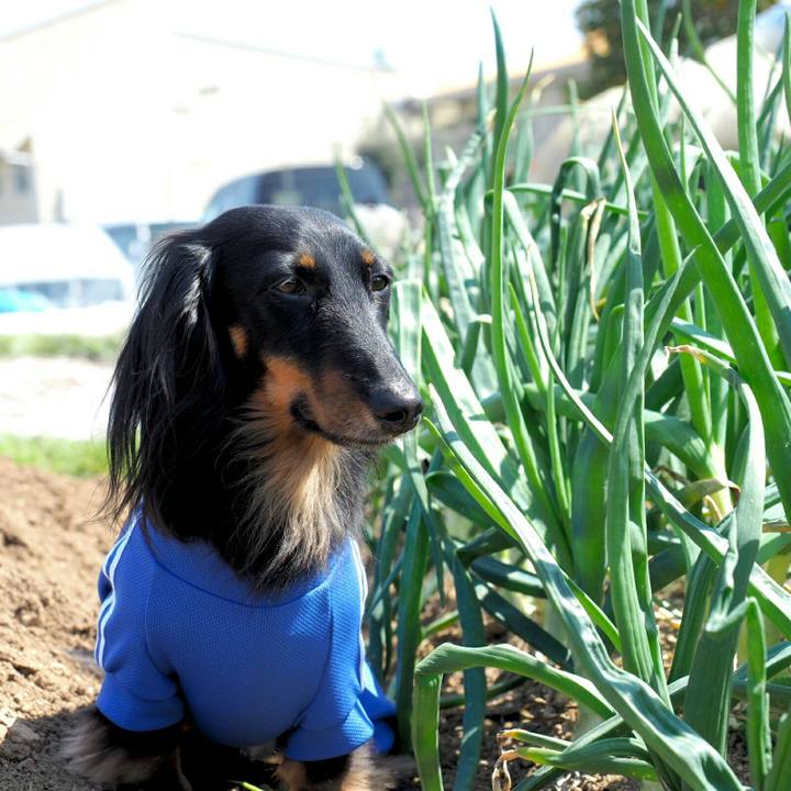 96bb3800 d09d 4345 958f 3274e7f84d9b 1553751483300