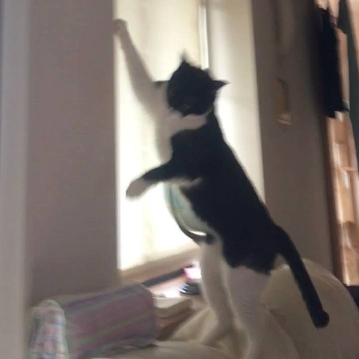 96bb877d dd41 436b 8ab4 6f44de88aa3e 1582373765022