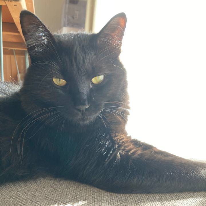 96bbad6c 4028 486e b13c 57c98f0dd5d8 1731464692380