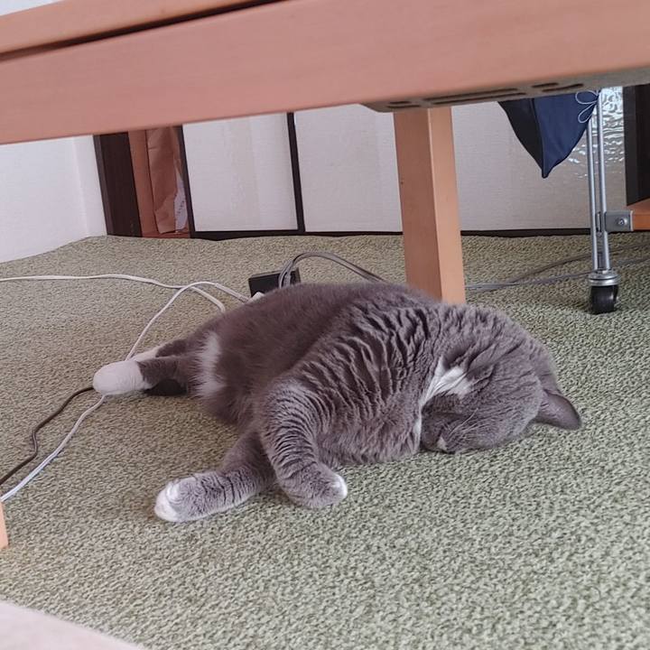 96bbbd07 02a2 40b7 9950 f6eacdac9483 1714352394568